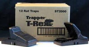 T Rex - Case ($145.20 Vat incl.)