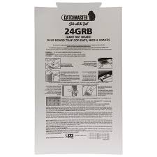 24 GRB  ( $11.00 Vat incl.)