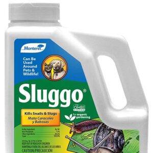 Sluggo ($33.00 Vat incl.)